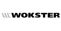 Ремонт телевизоров WOKSTER